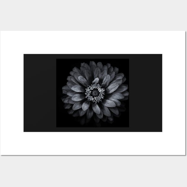 Backyard Flowers In Black And White 69 Wall Art by learningcurveca